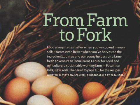From Farm to Fork
